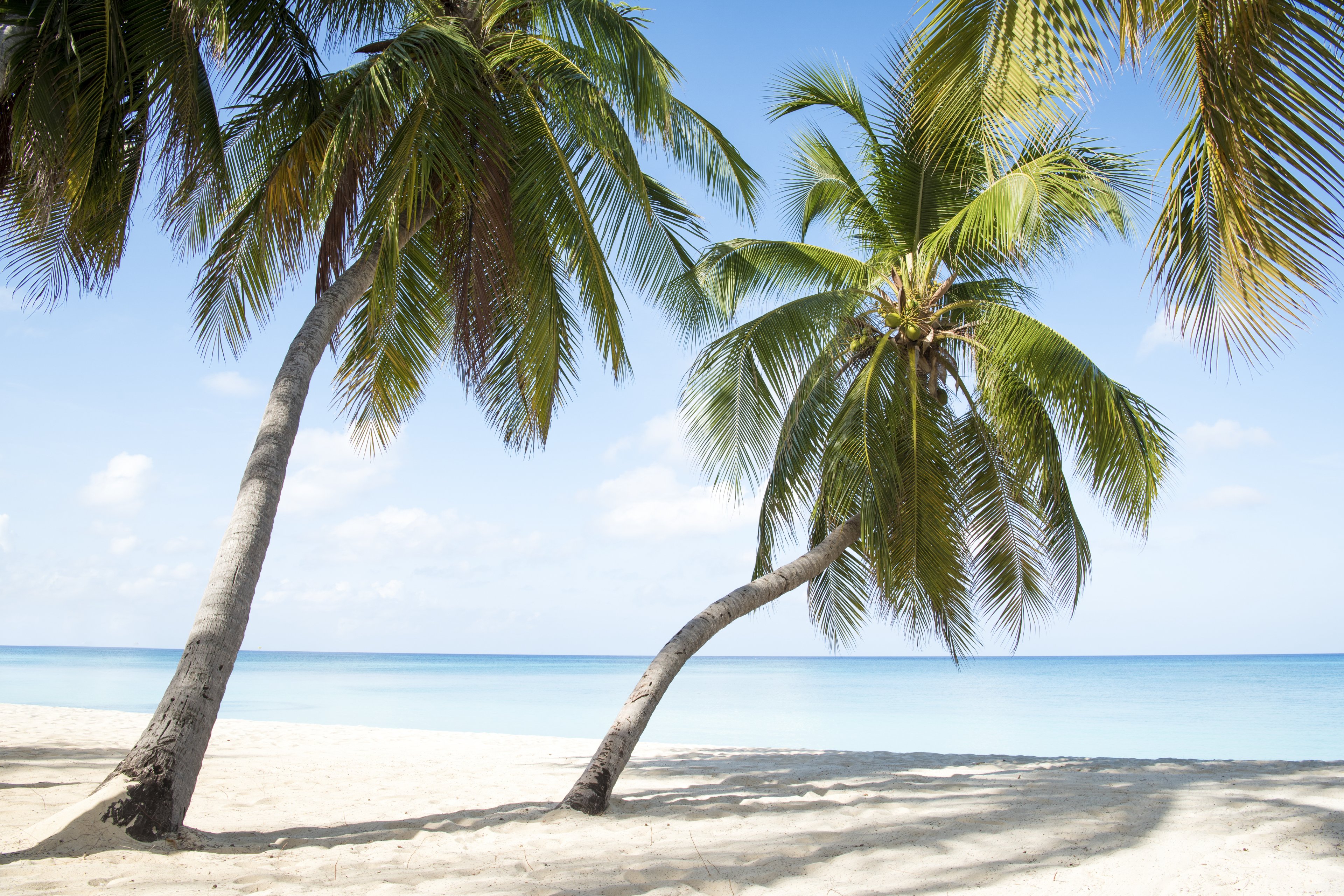 Grand Hyatt Grand Cayman